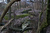 Bernhard Saalfeld - DSC05260 -1.jpg